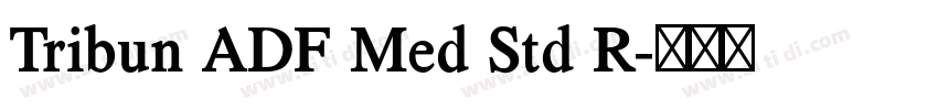 Tribun ADF Med Std R字体转换 Tribun ADF Med Std R字体转换